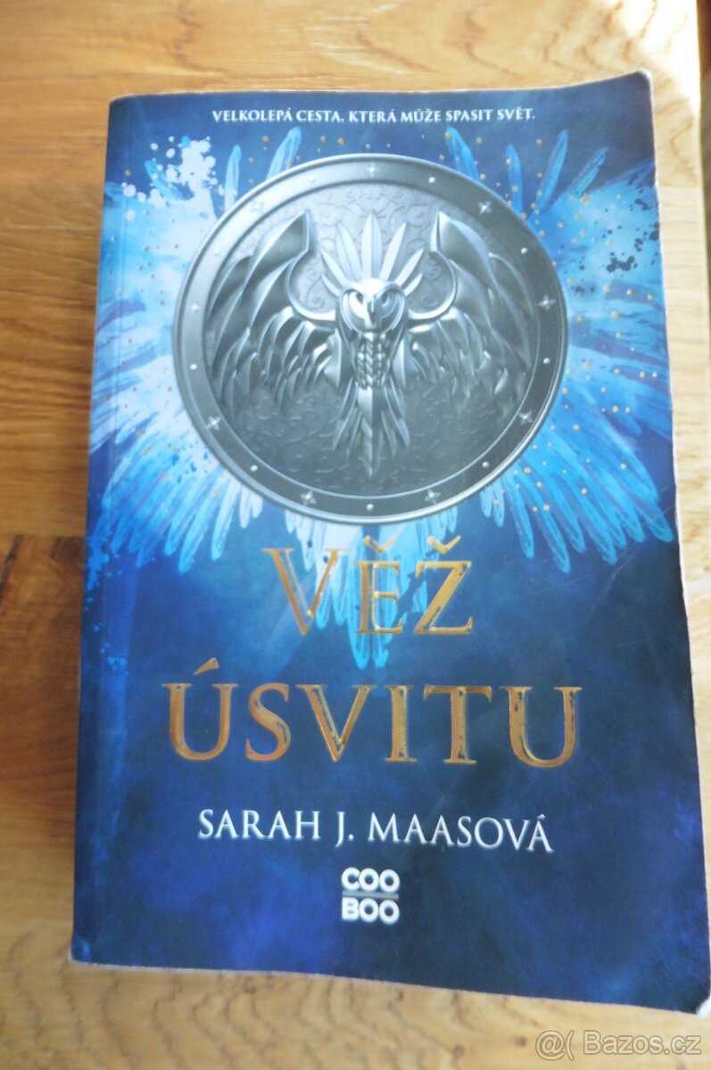 Sarah J. Maas - Věž úsvitu