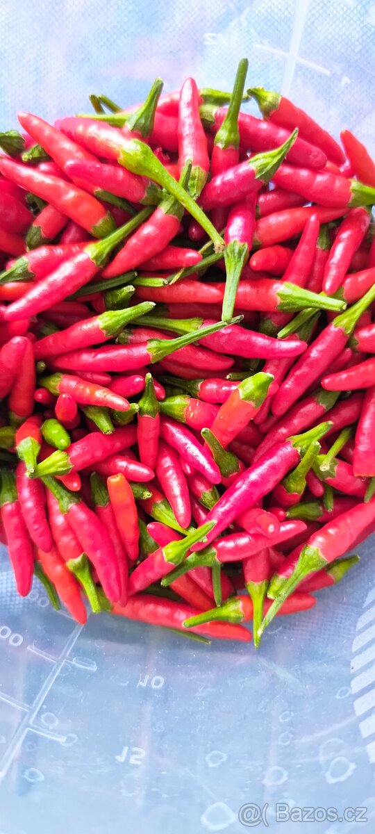 Čerstvé chilli papričky kategorie 8