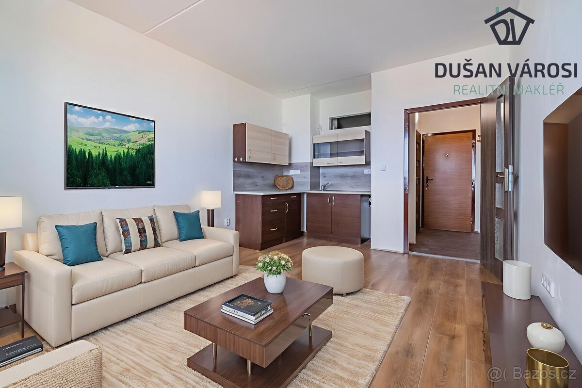 Pronájem bytu 1+KK, Budovatelů