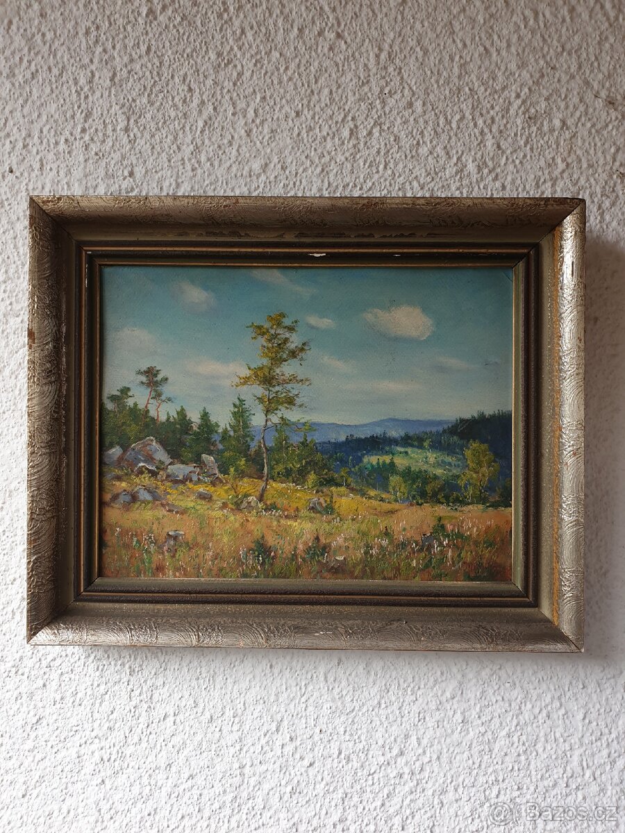 OBRAZ  - František Motyčka