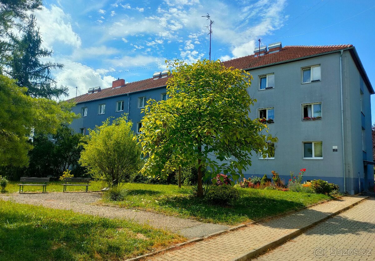 Pronájem bez RK, cihlový byt 1+1 po reko., Brno-Řečkovice