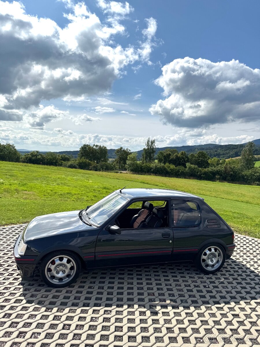 Peugeot 205 Gti (mi16)