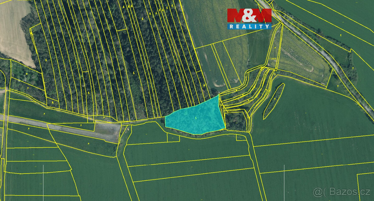 Prodej lesa, 10594 m², Koloveč