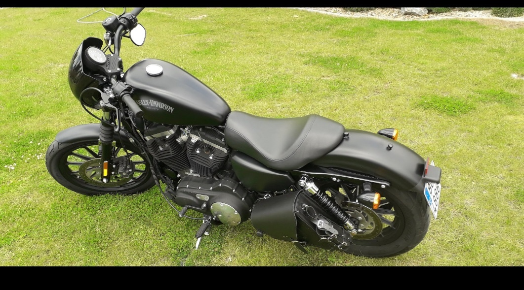 Harley Davidson Iron Sportster 883