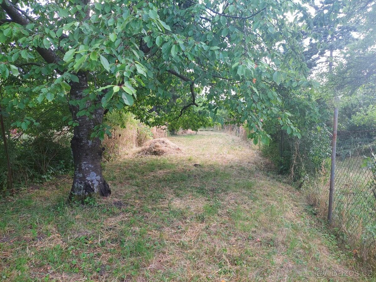 Prodám zahradu v Brně v Obřanech 496 m2