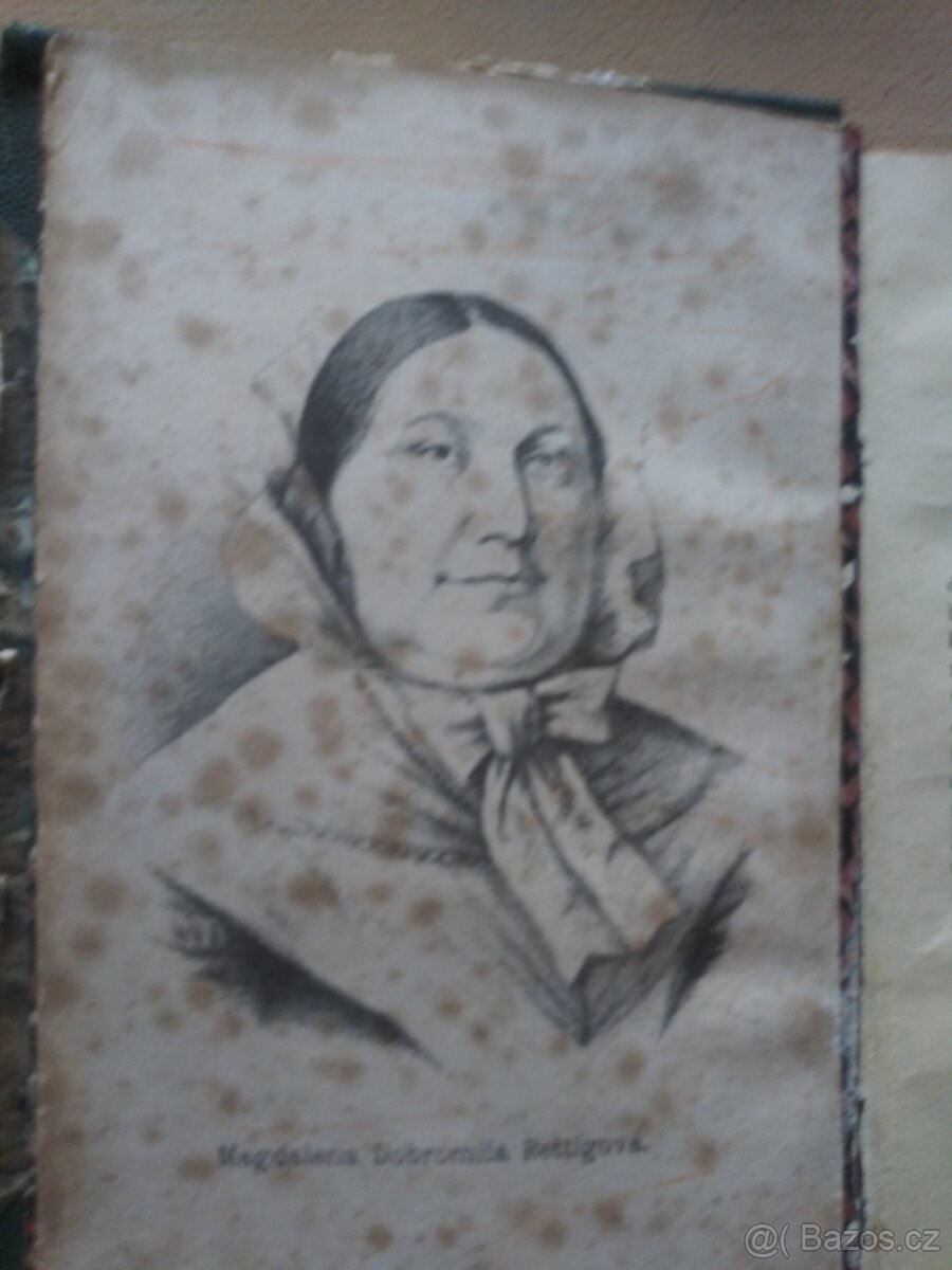 Rettigova