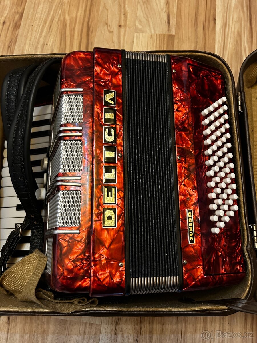 Akordeon Delicia Junior