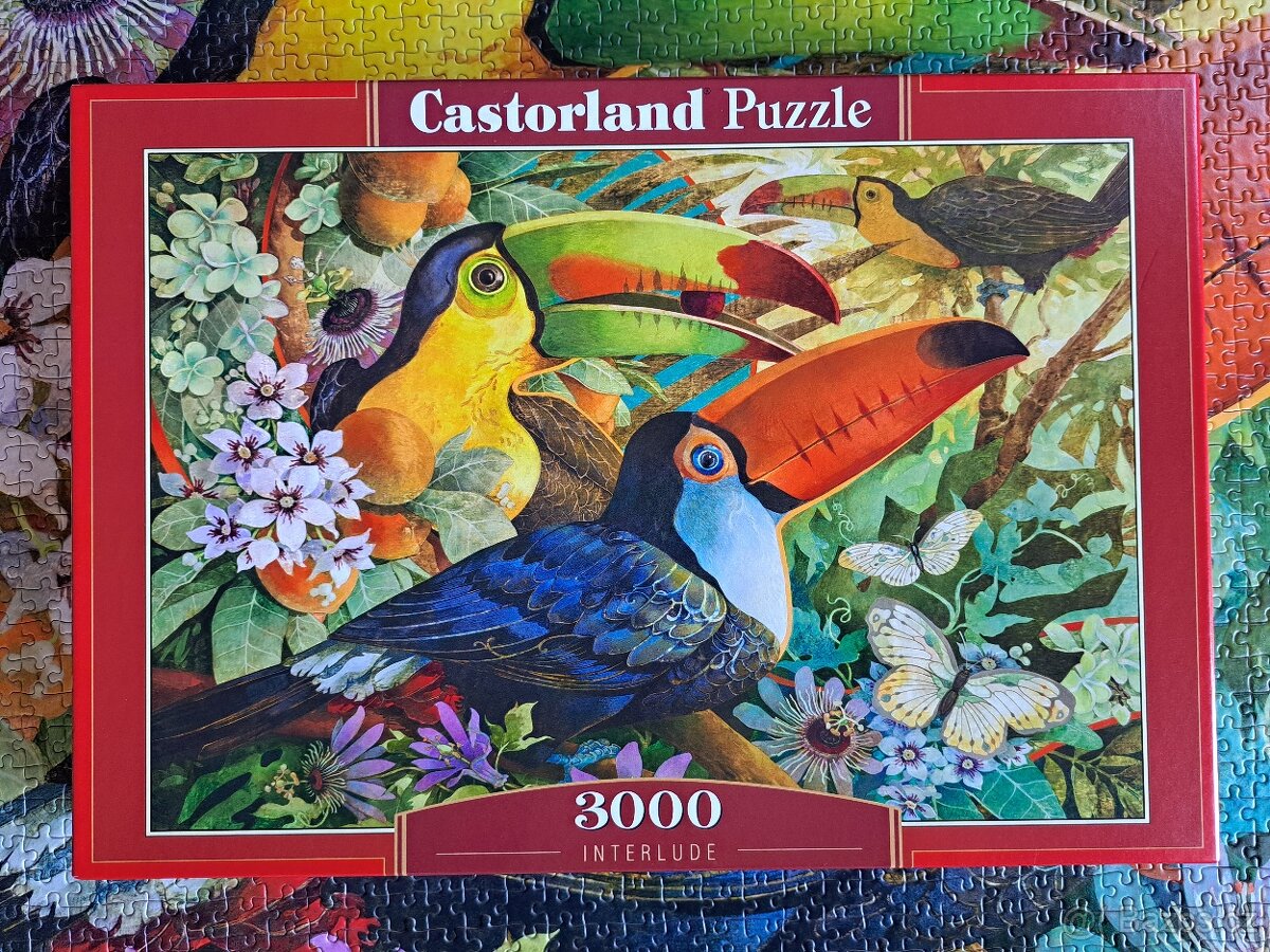 Puzzle 3000 Castorland/Tukani