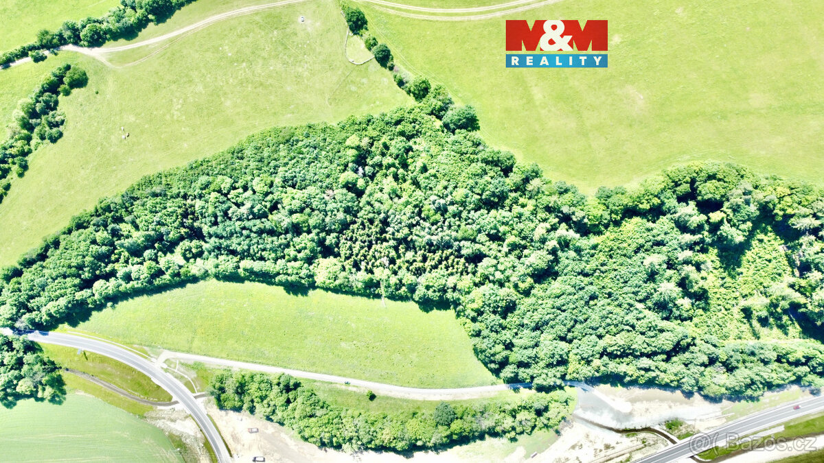 Prodej lesa, 12990 m², Vyšehoří