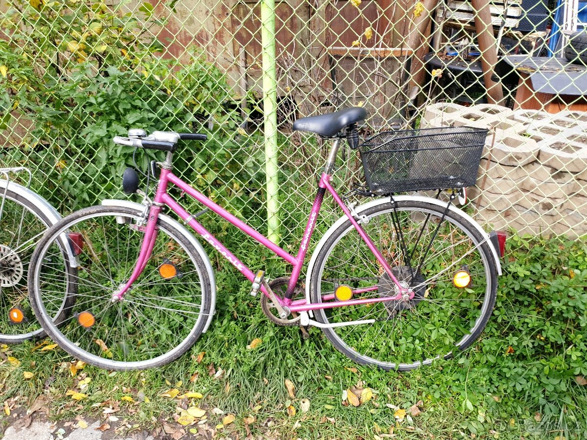 Jízdní kola retro Favorit, Eska