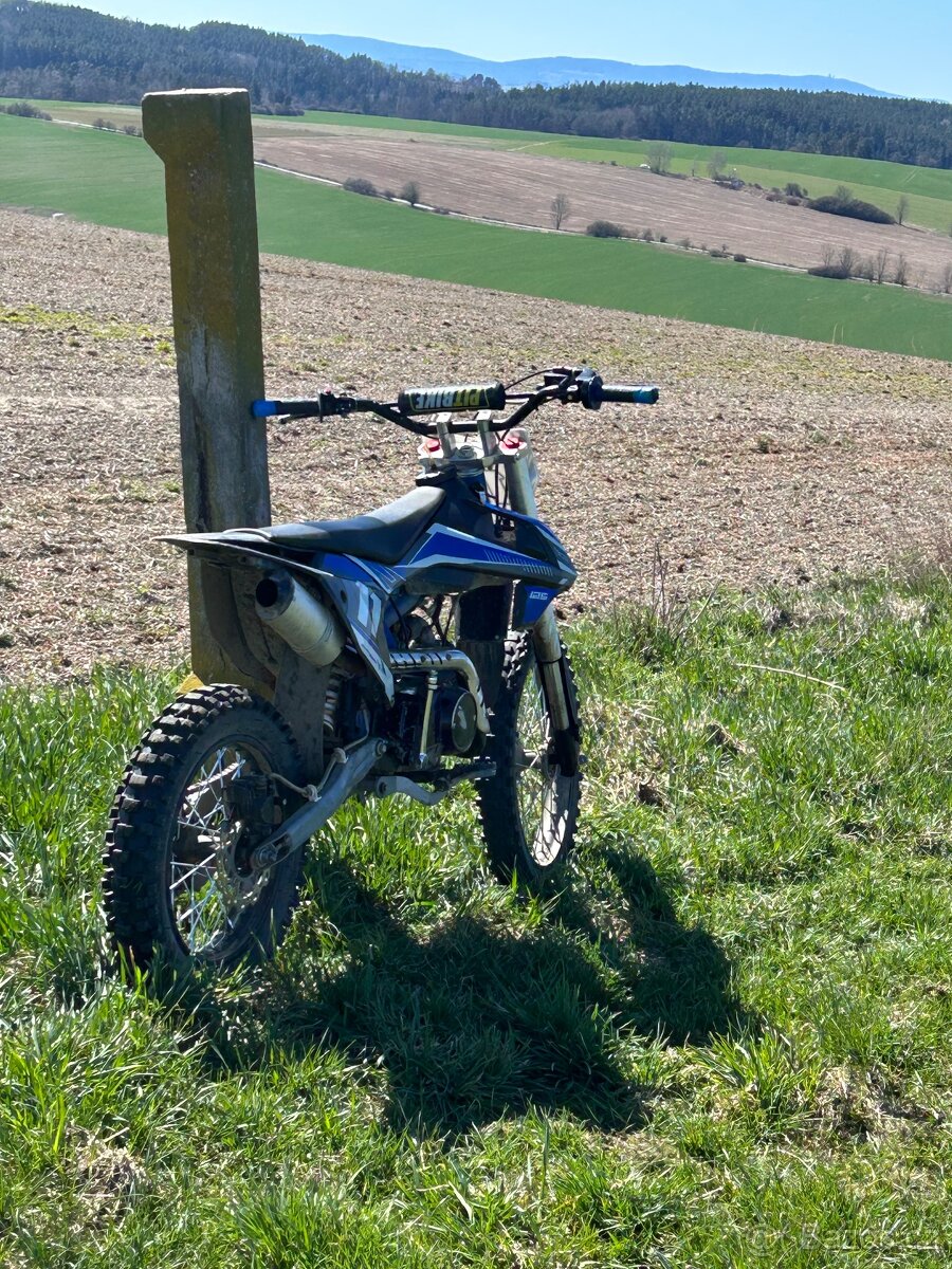 Pit bike 140 leramotors shark