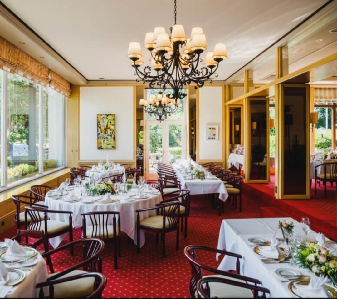 80x židle do restaurace křeslo polokřeslo z masivu