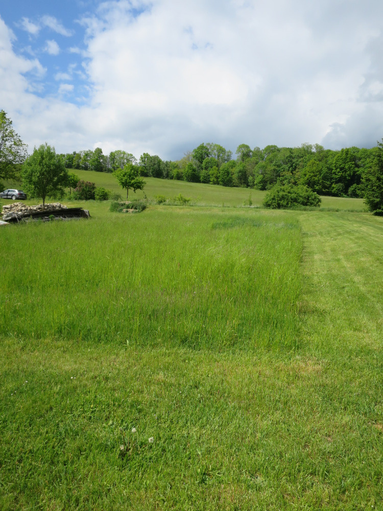 Prodám pozemek 1359 m2 v obci Božejovice (Jistebnice)