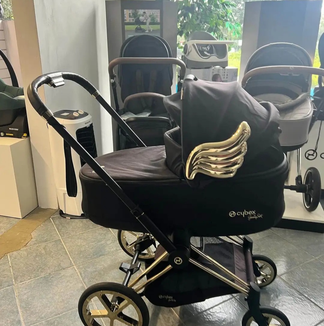 cybex by Jeremy Scott Wings