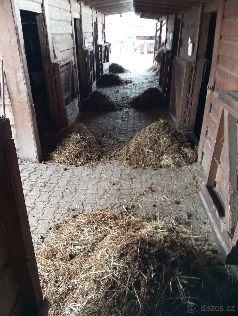 Koňský hnůj za odvoz