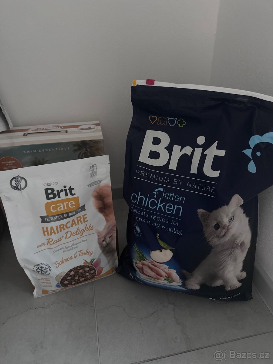 Brit