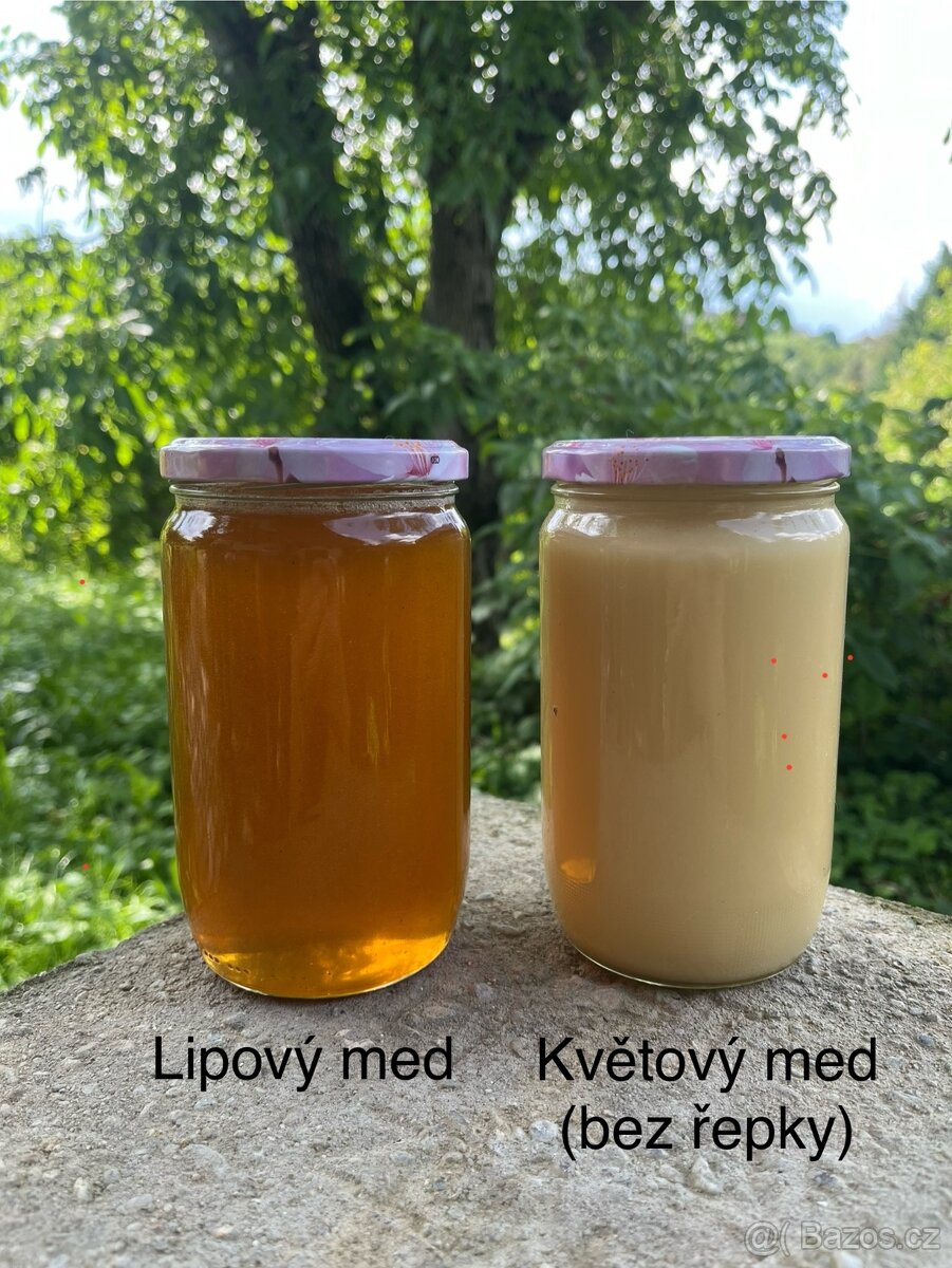 Domácí med