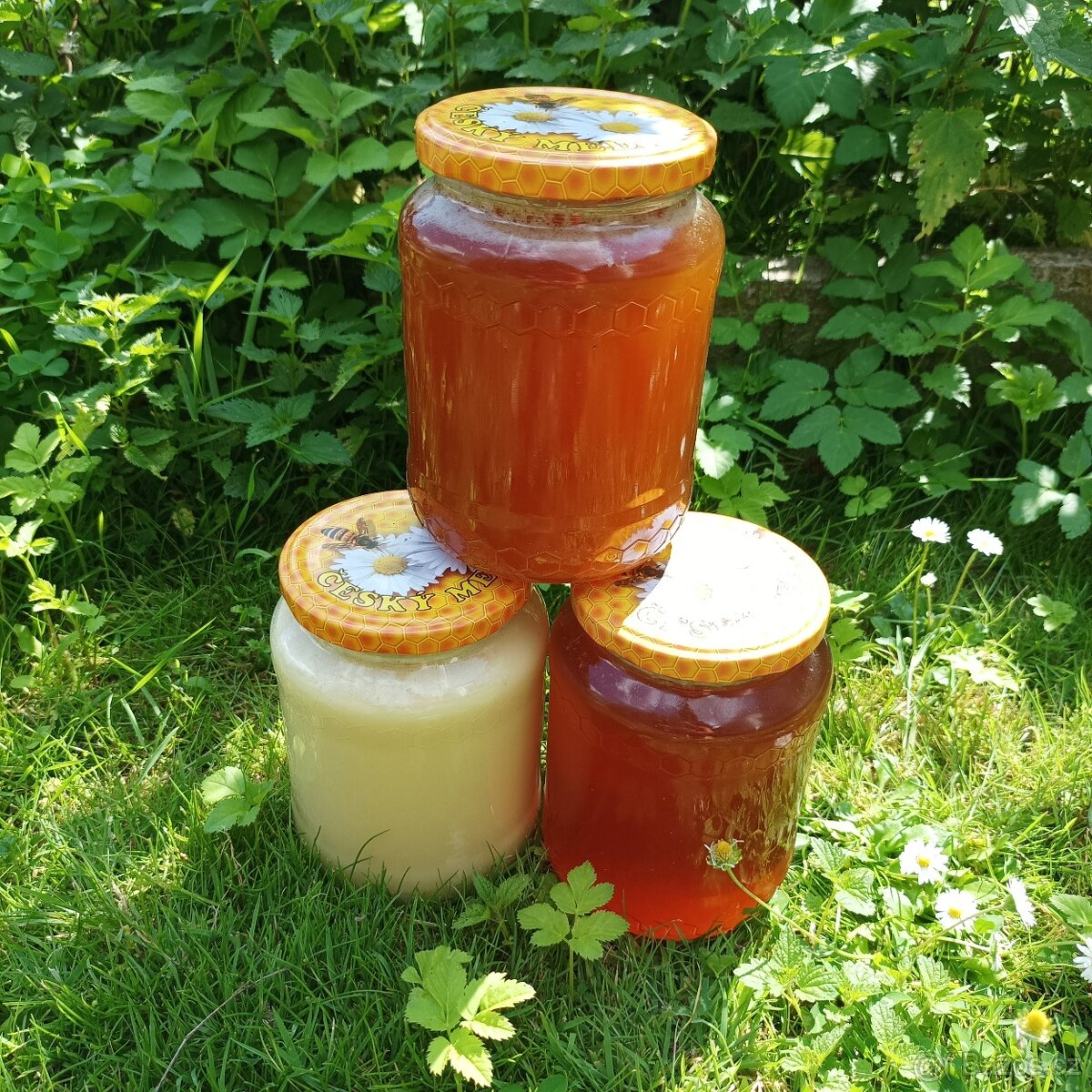 Včelí med od včelaře