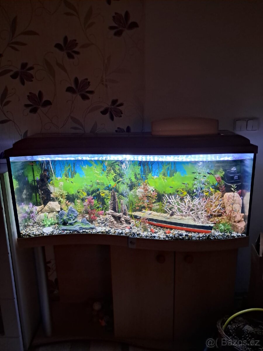 Prodej akvária setu
