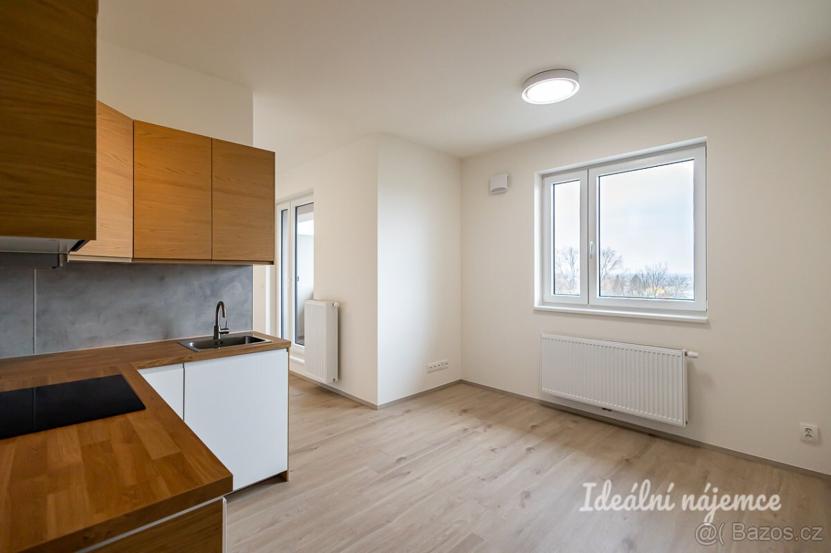 Pronájem bytu 1+kk, Augustina Lukeše, Brandýs nad Labem,  15