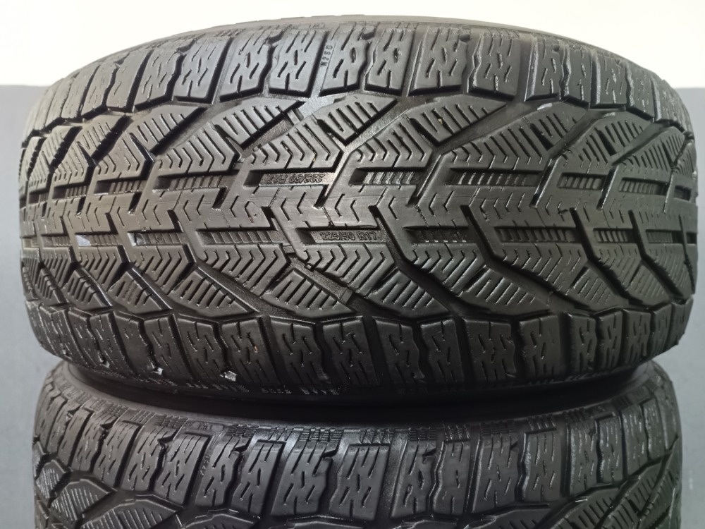 225/50 R17 RIKEN (3319)