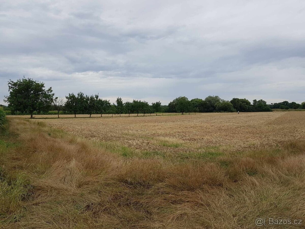 Prodej pole, Veselí nad Moravou, 5415 m2