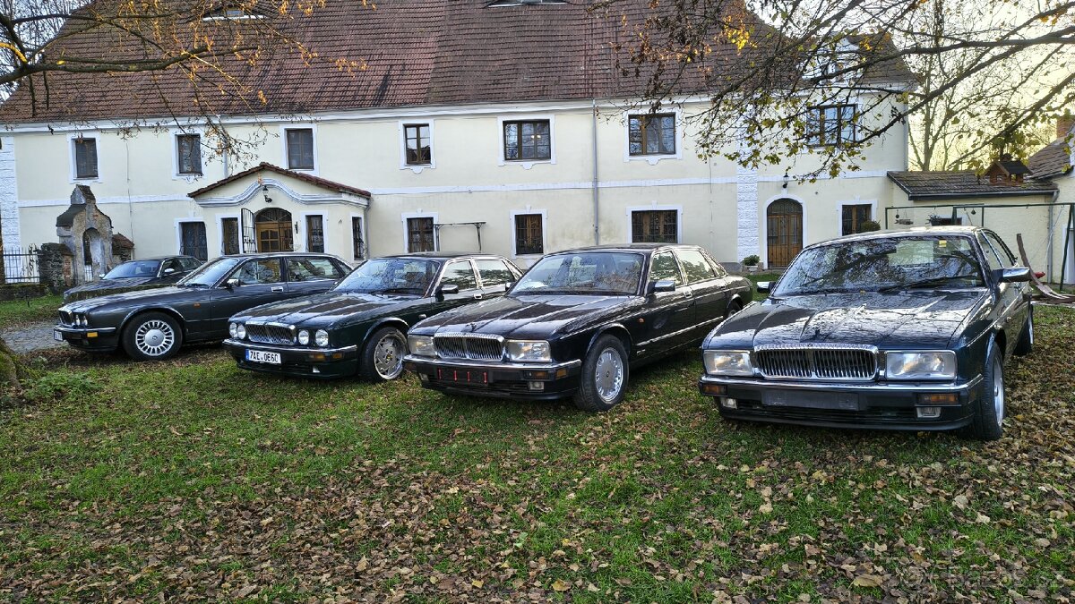 Jaguar Daimler DoubleSix V12 XJ81