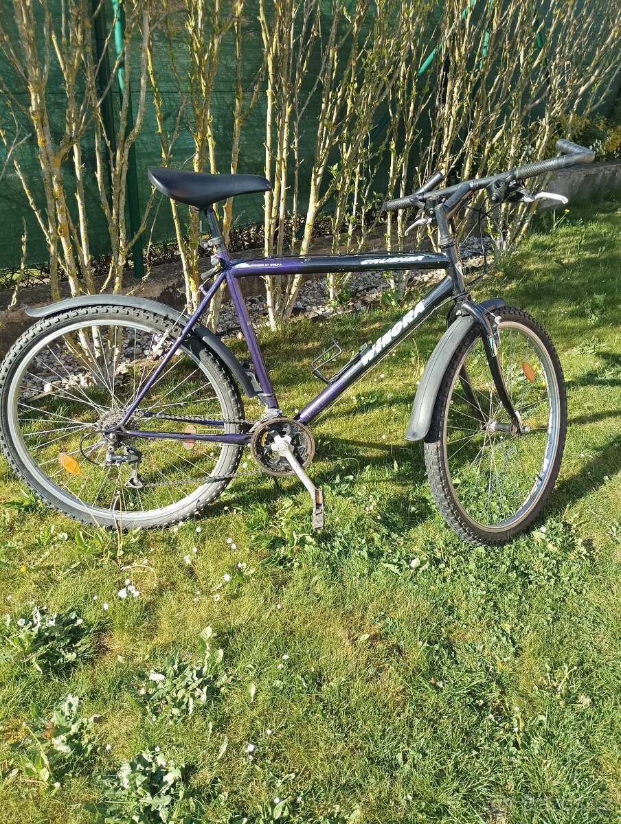 Pánské horské kolo