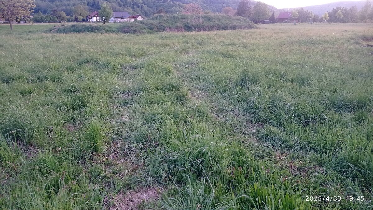 Služby: Mulčování zahrady, sady, pastviny, kolem staveb