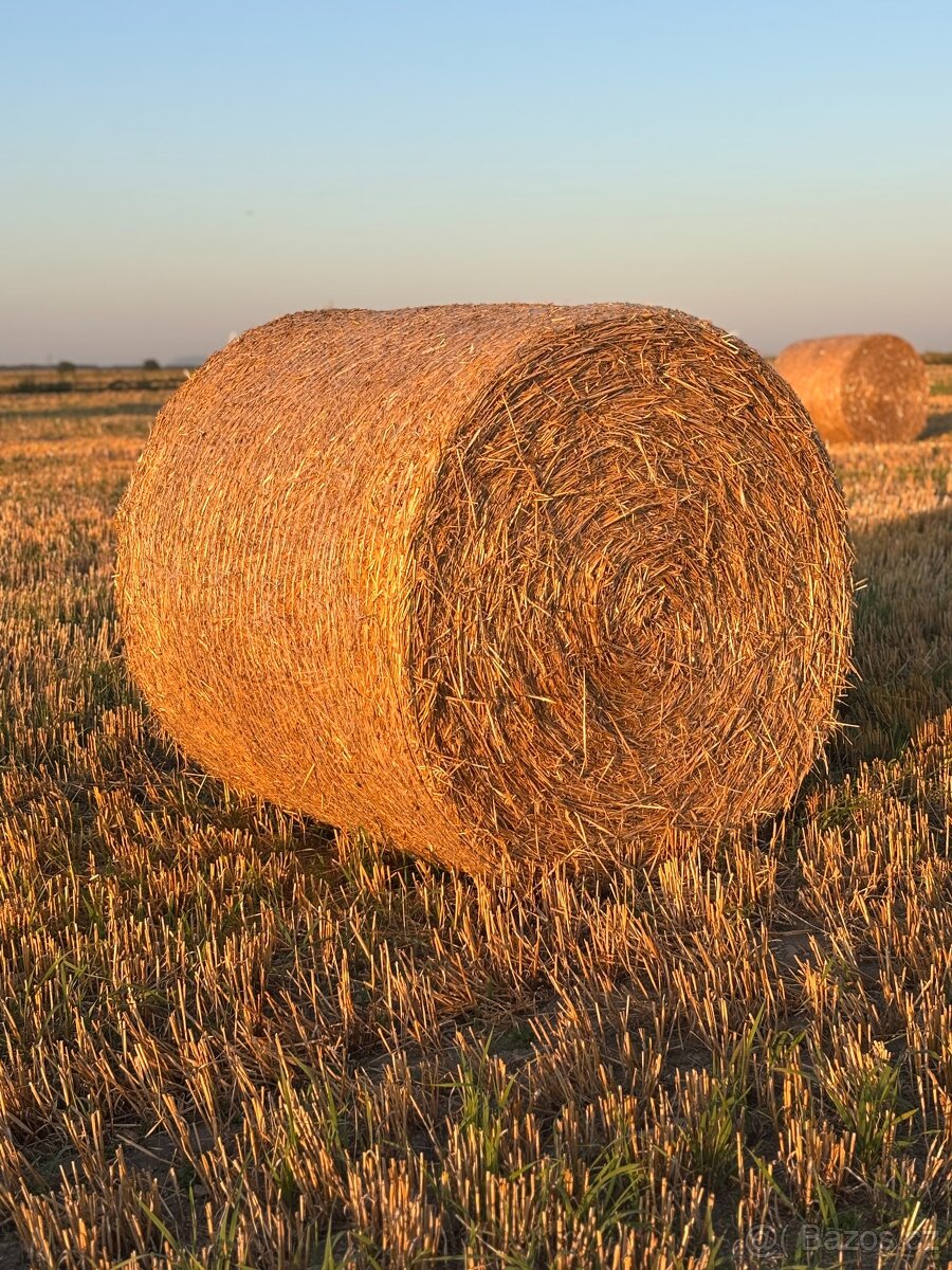 Pšeničná a ječná sláma