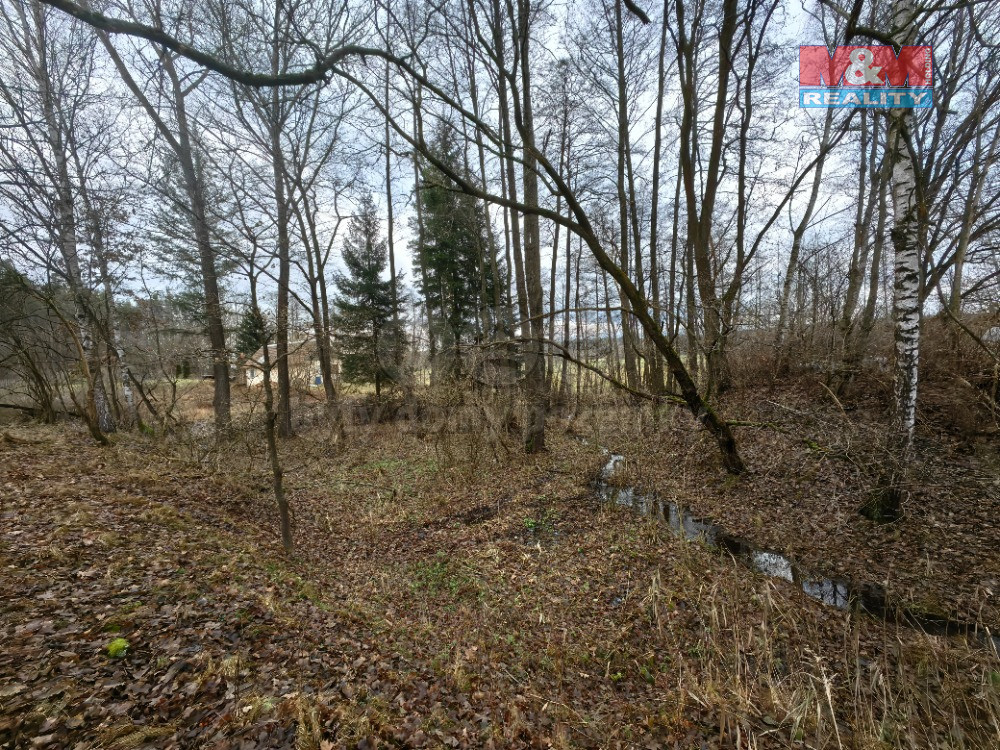 Prodej louky, 629 m², Borohrádek