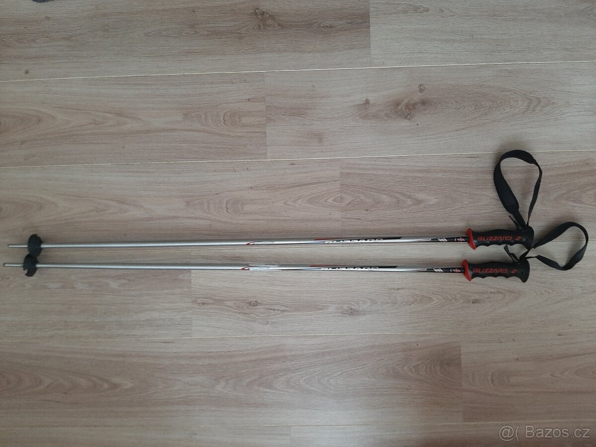 Lyžařské hůlky Blizzard 110 cm