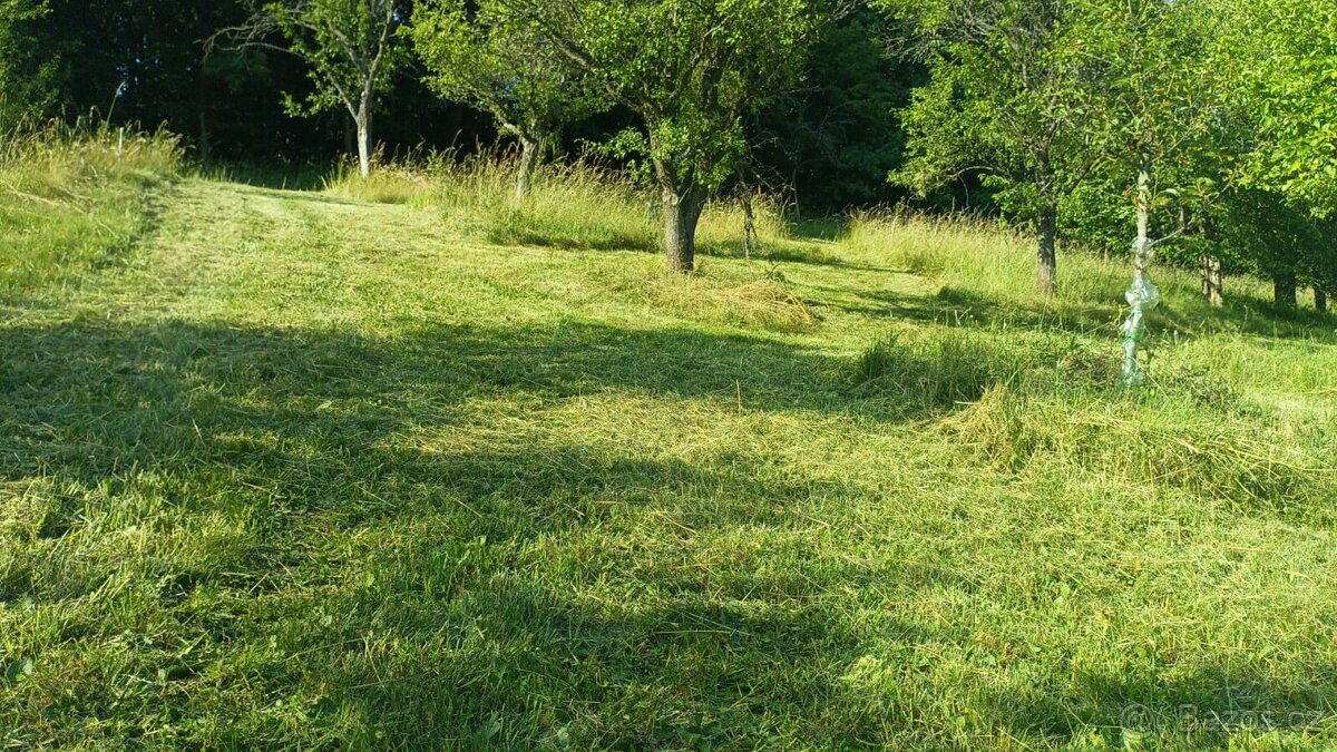 Sečení mulčování trávy