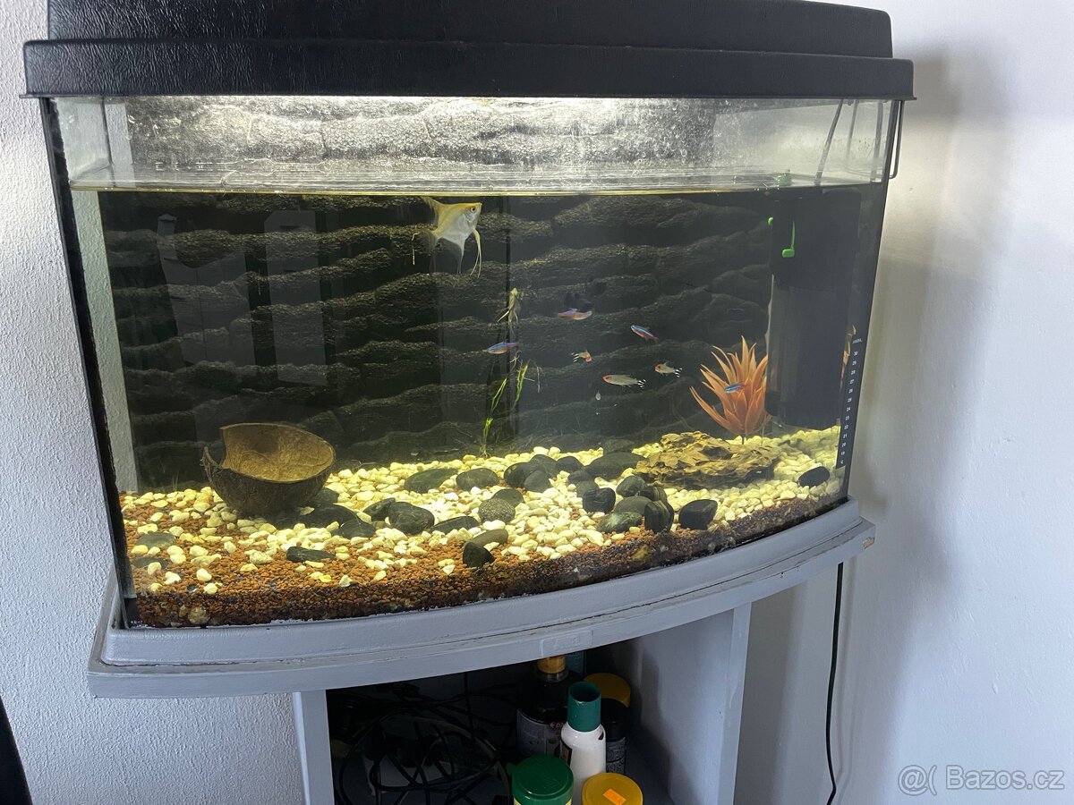 se slevou🐠 Velké akvárium cca 90l – komplet vybavení + ryby