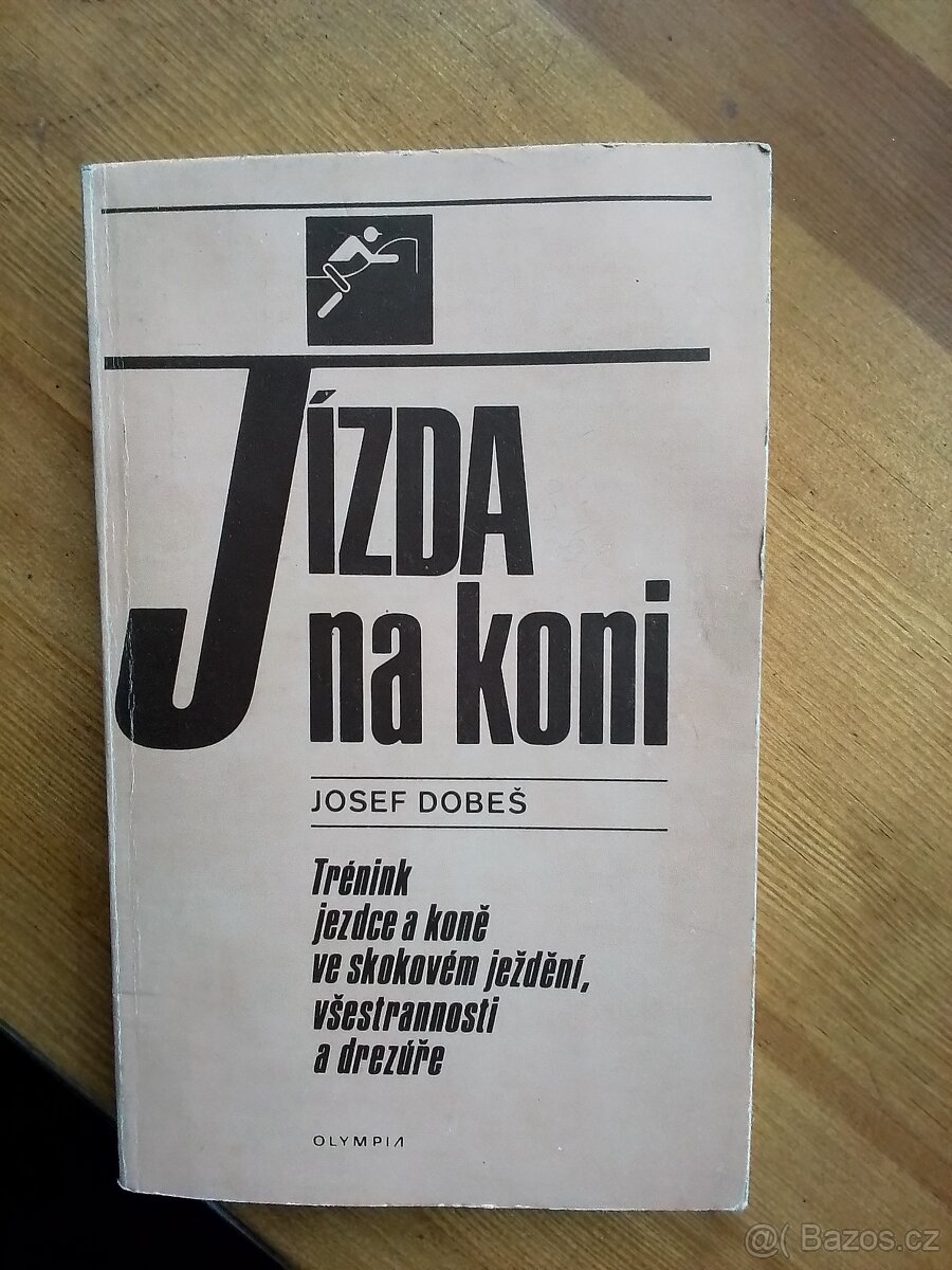 Jízda na koni