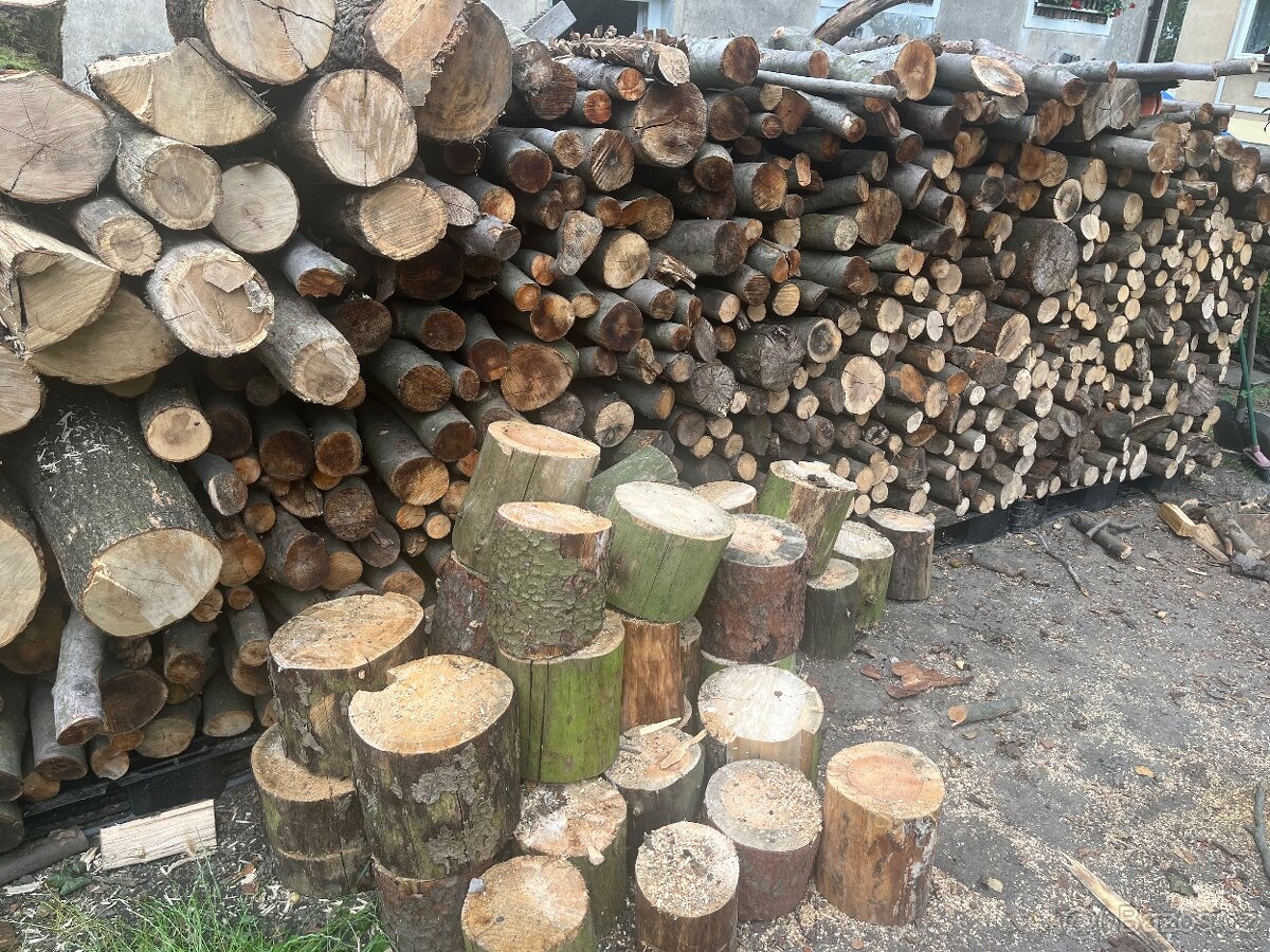 Prodám Dřevo