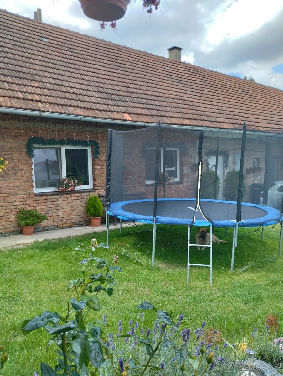 Trampolína
