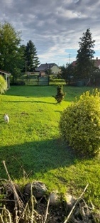 PRODÁM ZAHRADU NA KROMĚŘÍŽSKU - výhodná investice