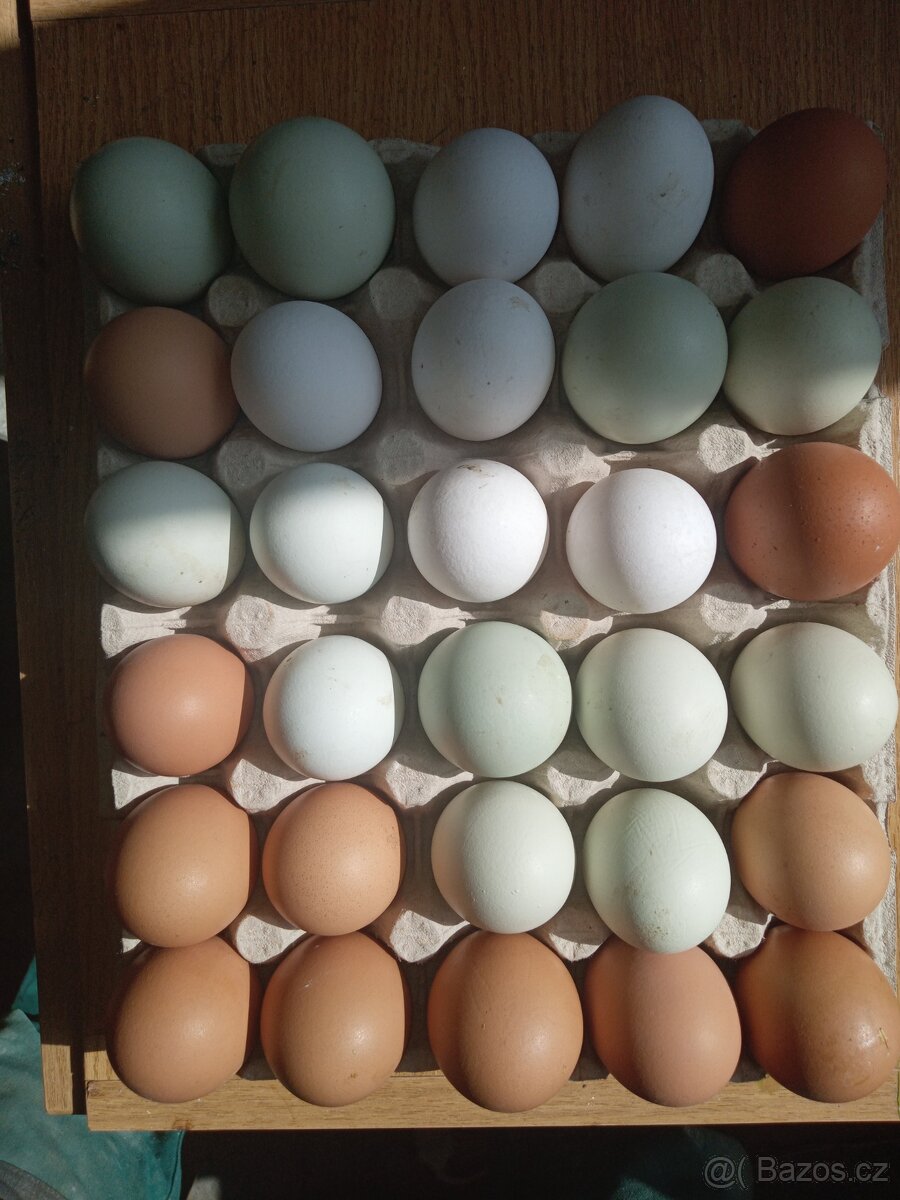 Čerstvá vajíčka