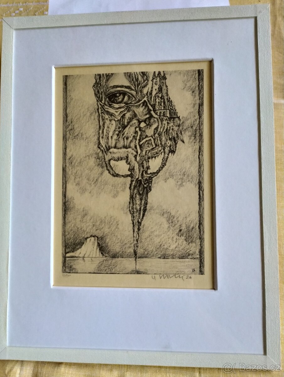 Nabízím grafický list v rámu" Oko v růži s hradem"