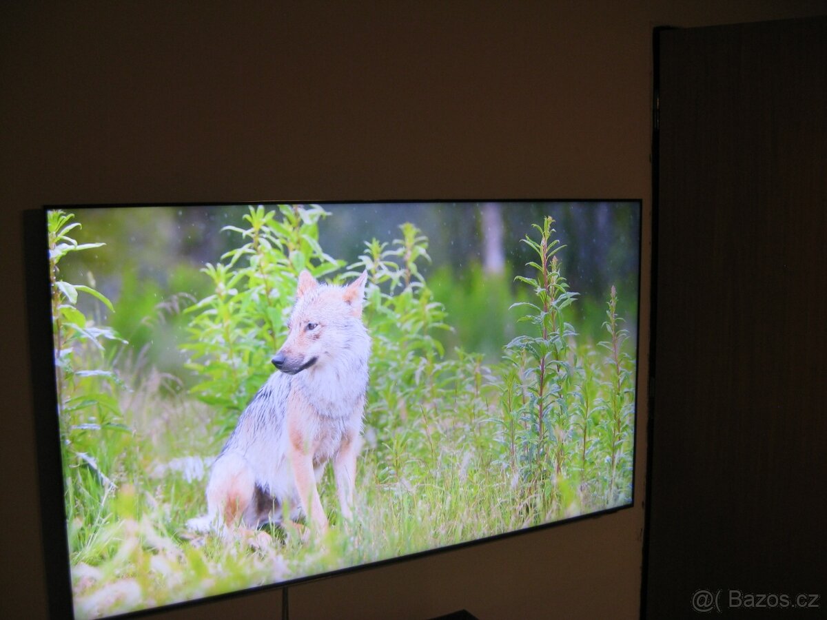 Vlajková lod SAMSUNG QE65QN800D 8K