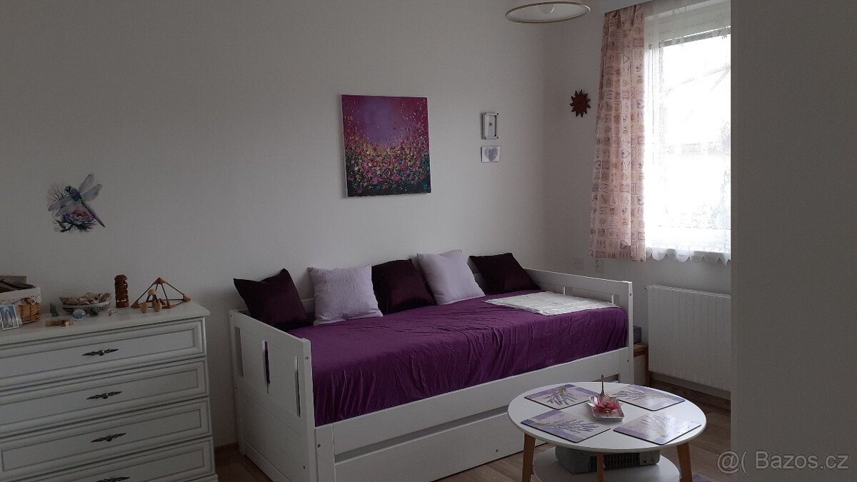 Za cenu bytu v Sušici - 3+1 s předzahr. a garáží ve Velhart.