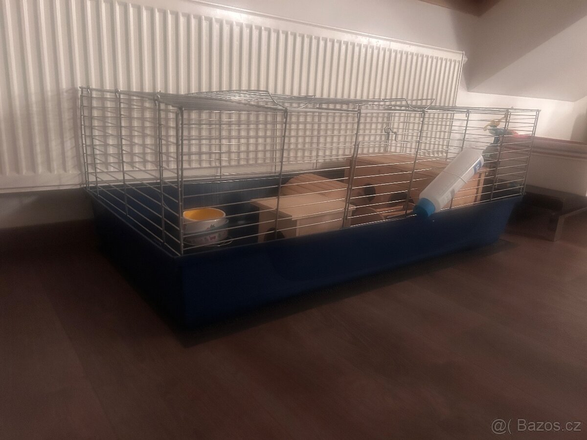 klec pro morcata