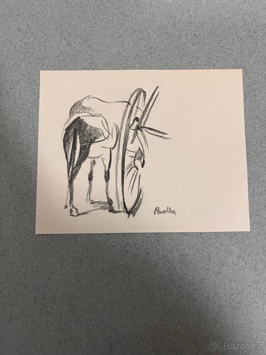 Kresby tužkou Pavelka František