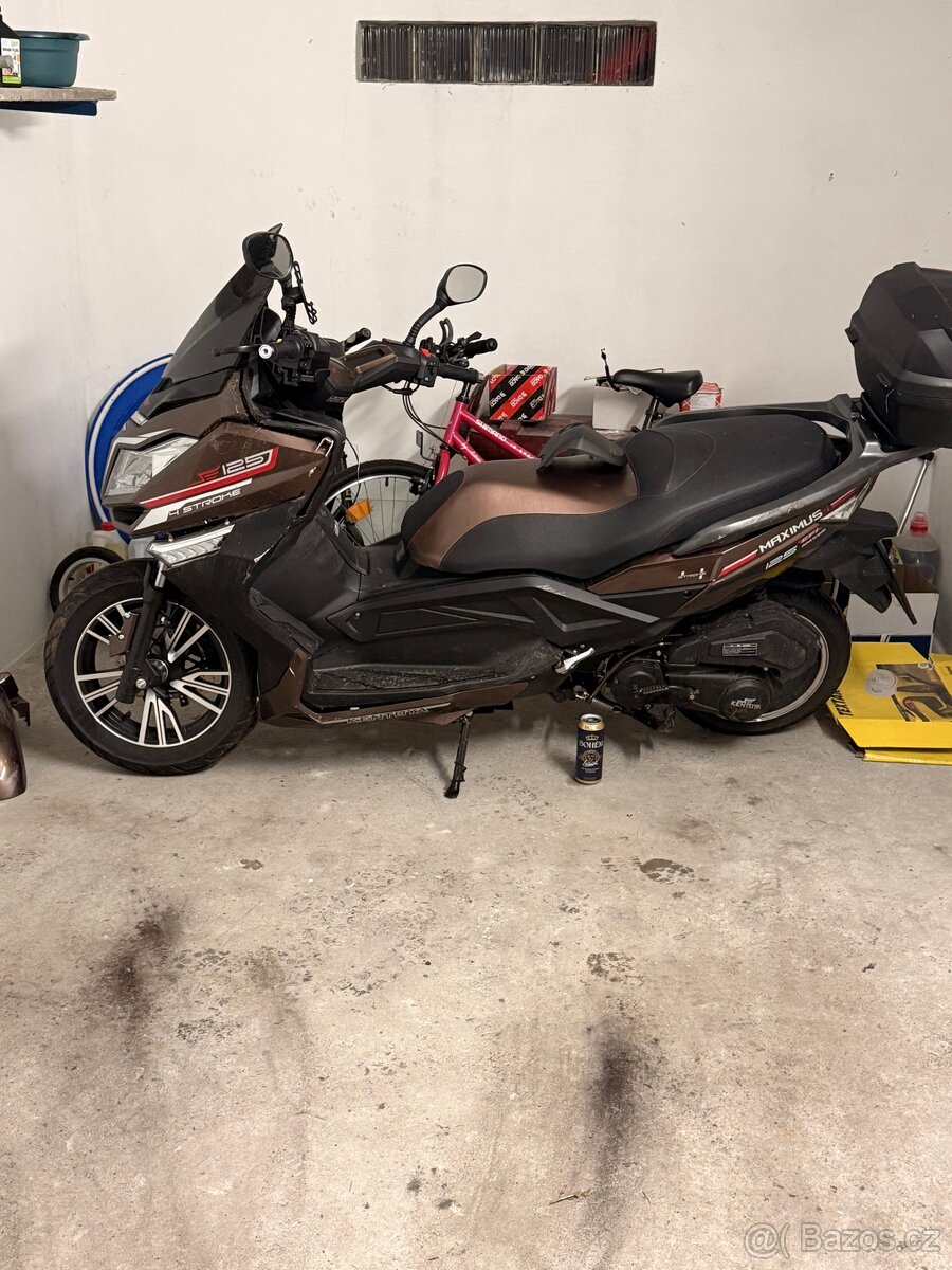 Kentoya Maximus r.v. 2024