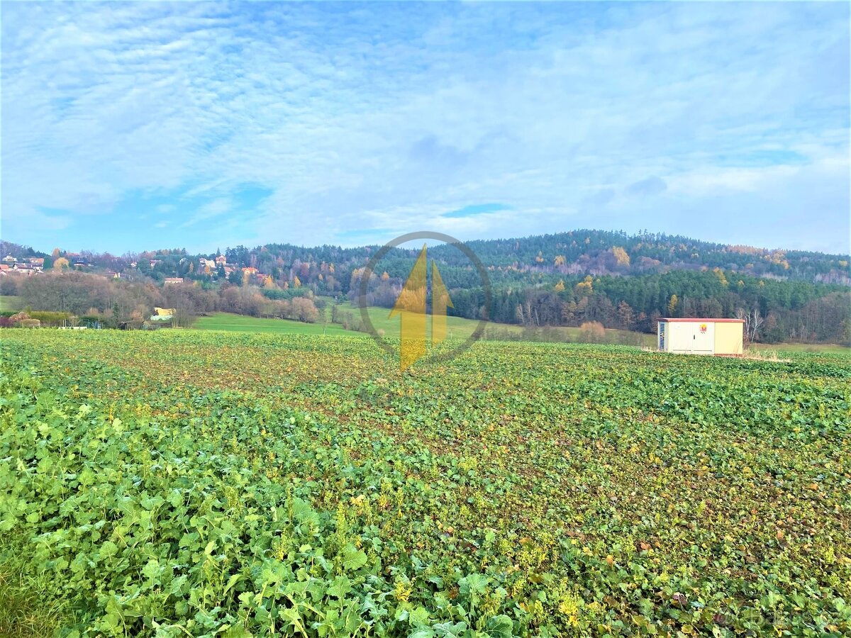 Prodej zemědělských pozemků na okraji obce Holín - Prachov