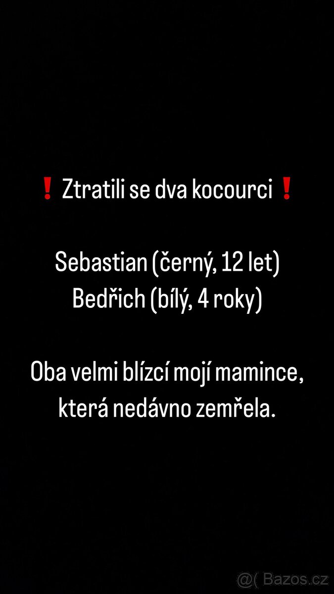Hledám Kocoury