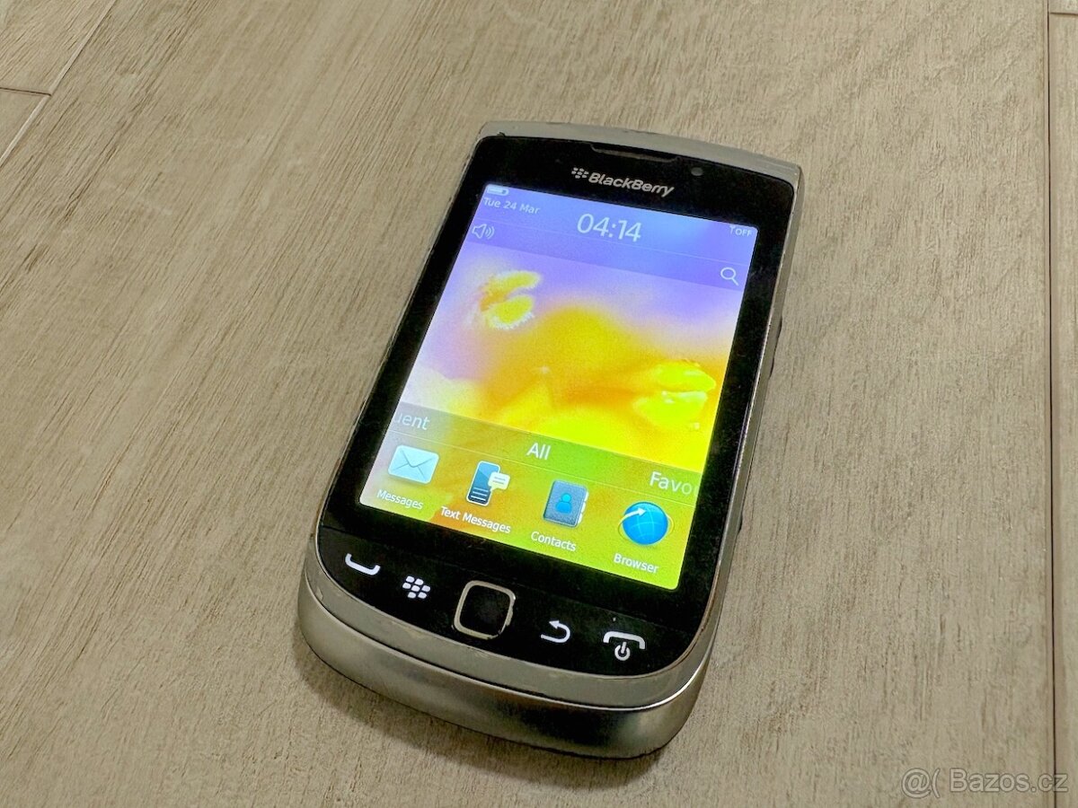 Blackberry Torch 9810