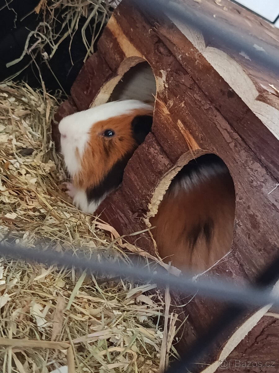 Pouze do dobrých rukou