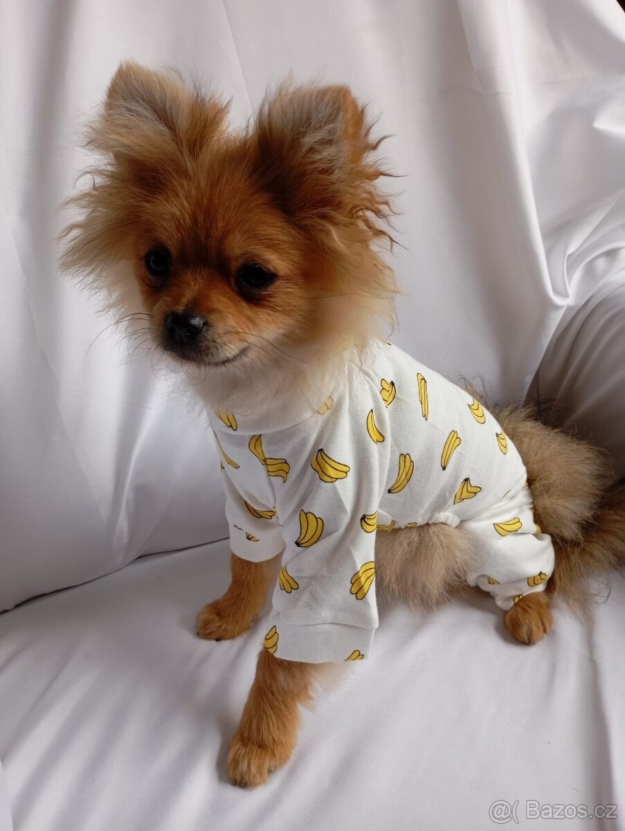 Nové pyžamo pro psy - doprava zdarma